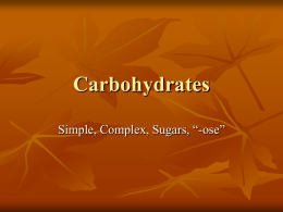 3. Carbohydrates