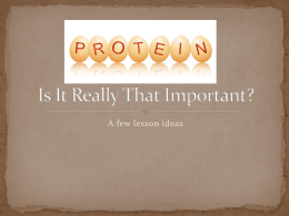 Protein—Is It Really That Important?