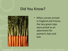 "Did You Know" for FACS, #2 (PowerPoint 93
