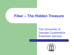 Fiber – The Hidden Treasure
