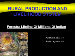 Forests, Life line of people