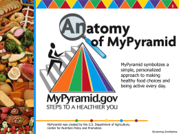 Anatomy of MyPyramid