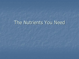 The Nutrients You Need