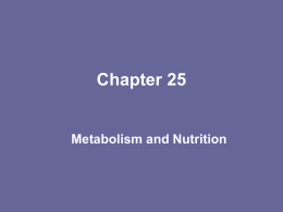 Ch 25 Nutrition Notes