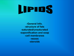 File Lipids-Chap 13