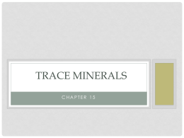 Trace Minerals - 35-206-202