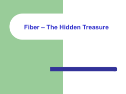 Fiber – The Hidden Treasure