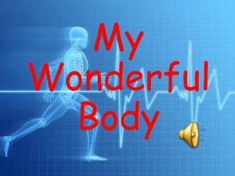 My_Body[1] - Junior2TopicWiki