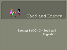 Food and Energy