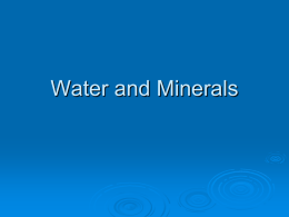 Water and Minerals