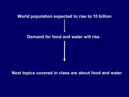 How have we increased world food production?