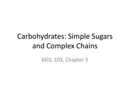 BIOL 103 Ch 5 for Students SS15