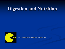 Digestion and Nutruition