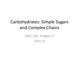 Carbohydrates: Simple Sugars and Complex Chains