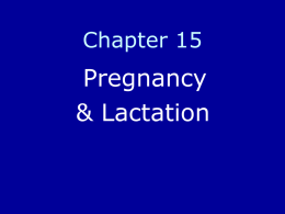 Pregnancy and Lactation