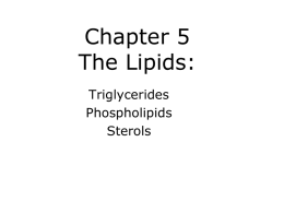 Chapter 5 The Lipids