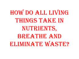 How do living things take in nutrients, breathe, and