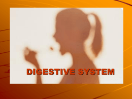 digestive - ANATOMY AND PHYSIOLOGY