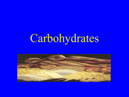 carbohydrate