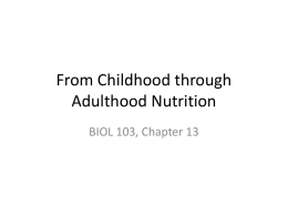 BIOL 103 Ch13 Childhood to Adult Nutrition for Students