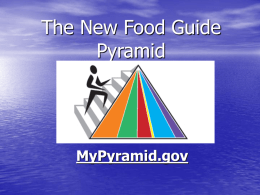 The New Food Guide Pyramid