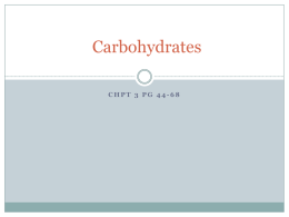 carbs - Nutrition10250