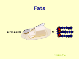 Fats - bpnutrition