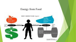 Energy from Food