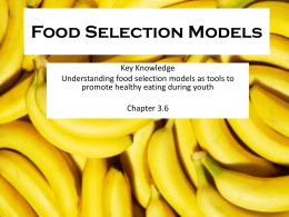 AoS food selection modelsx
