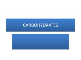carbohydrates - St. John the Baptist Diocesan High School