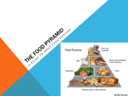The Food Pyramid