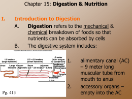 Ch15-Digestion and Nutrition