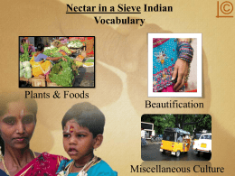 Nectar in a Sieve: Digital Indian Vocabulary Dictionary