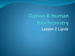 Option B4 Lipids 2