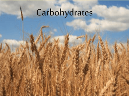 Carbohydrates - davis.k12.ut.us