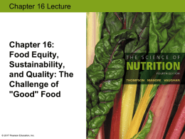 16. Food Security, Equity, and the Environment