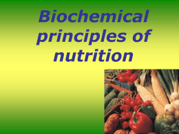 Lecture 13. Biochemical principles of nutrition