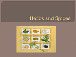 Spice (Herbs and Spices)