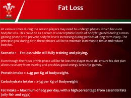 Fat Loss - Nutrition