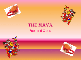 Food and Crops
