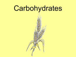 Foods I-Carbohydrates Unit