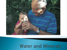 chapter 8 Water and Minerals