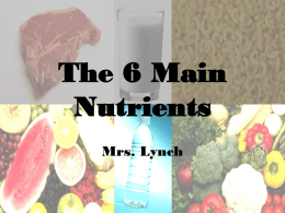 The 6 Main Nutrtients