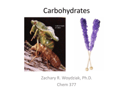 Carbohydrates and Pigments