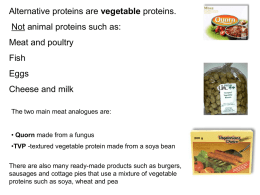 Alternative proteins