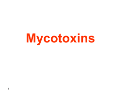 Mycotoxin