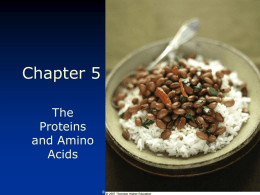 Proteins - Biol1322