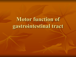 motor activity of gastro