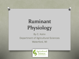 Ruminant Physiology