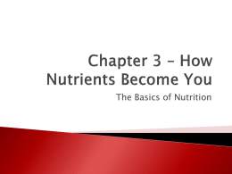 Chapter 3 How Nutrients Become You